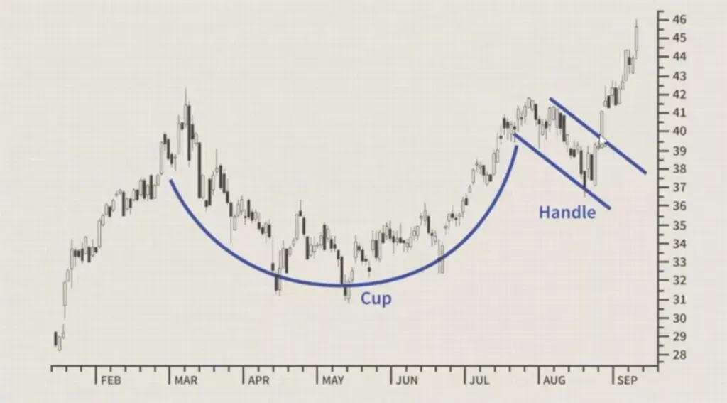 Cup & Handle