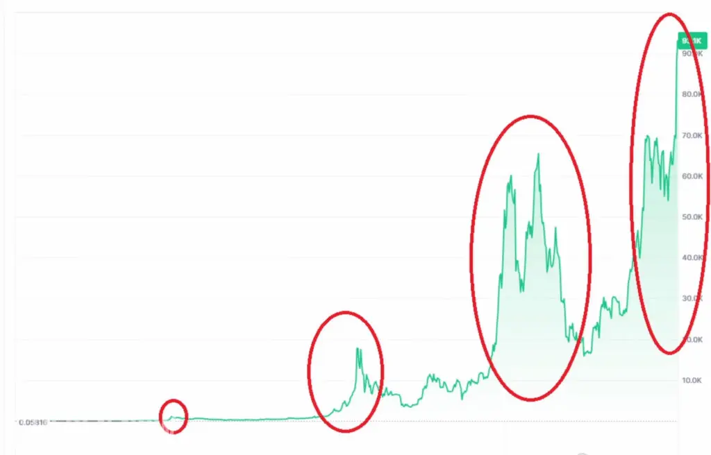 Bitcoin od osporavanja do globalne dominacije