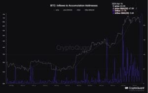 kriptoentuzijasti, beginner članstvo