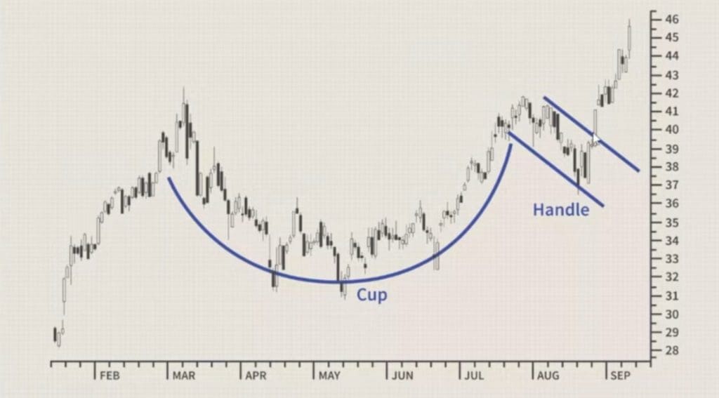 Cup & Handle