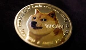 Kabosu, dogecoin, kripto