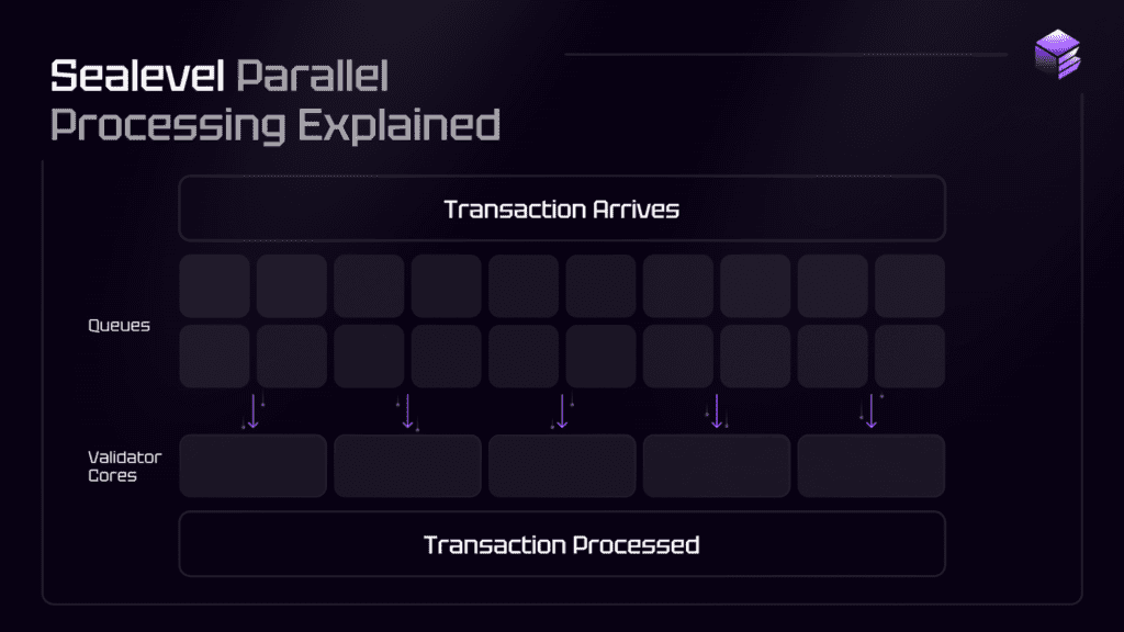 kriptoentuzijasti ,ethereum,tokenomija, solana vm