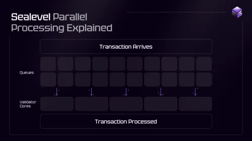 kriptoentuzijasti ,ethereum,tokenomija, solana vm