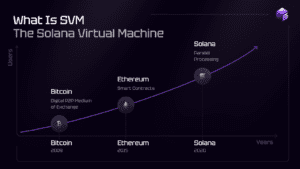 SolanaWM, tokenomija, kriptoentuzijasti