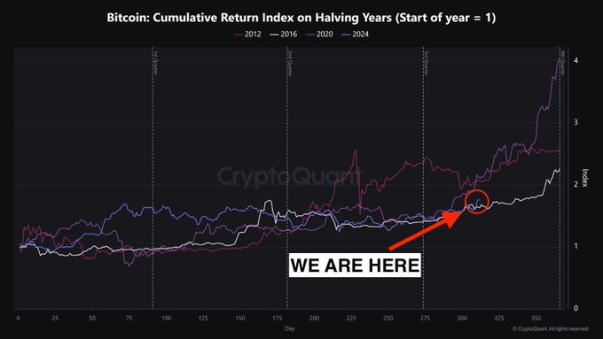 Trenutna pozicija Bitcoin ciklusa tijekom halving godina prikazana je grafikonima.