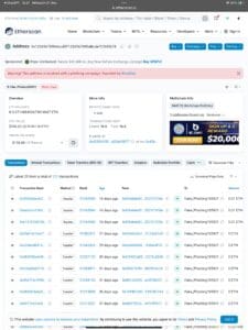 Etherscan Phishing Warning Reporthtml