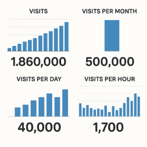 Posjete trendovi: ukupno, mjesečno, dnevno, po satu. Grafički prikaz prometa web mjesta.