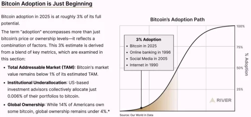 Projekcija rasta Bitcoin usvajanja 2025, usvajanje u ranoj fazi, potencijalno tržište.