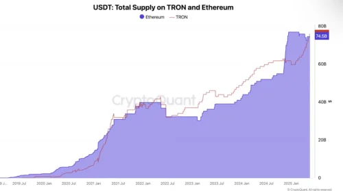 Grafikon USDT ponude na TRON i Ethereum blockchainu od 2019. do 2025. godine.