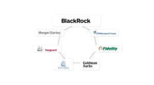 Dijagram koji prikazuje mrežu BlackRocka i glavnih svjetskih financijskih institucija i investicijskih tvrtki.