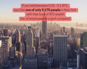 Njujorška panorama sa statistikama o posjedovanju Bitcoina, ekskluzivnost BTC vlasništva u gradu.